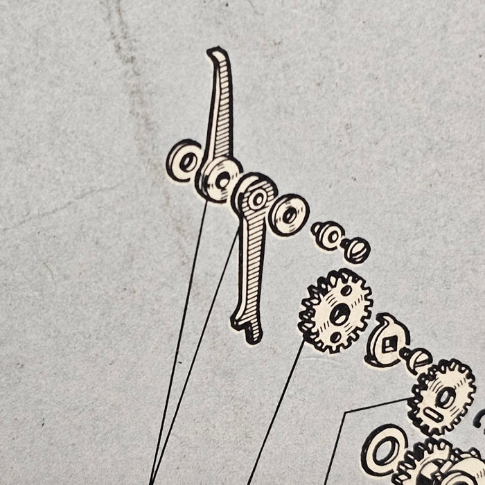 Bolex Lower Claw ( T )