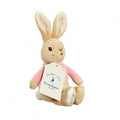 Rainbow Designs Toys Flopsy Bunny Bean Rattles