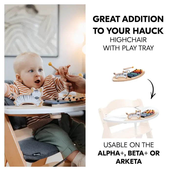 Hauck Toys Hauck Play Music Toy - Zebra