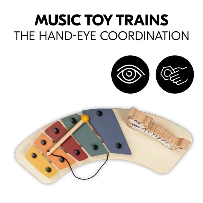 Hauck Toys Hauck Play Music Toy - Zebra