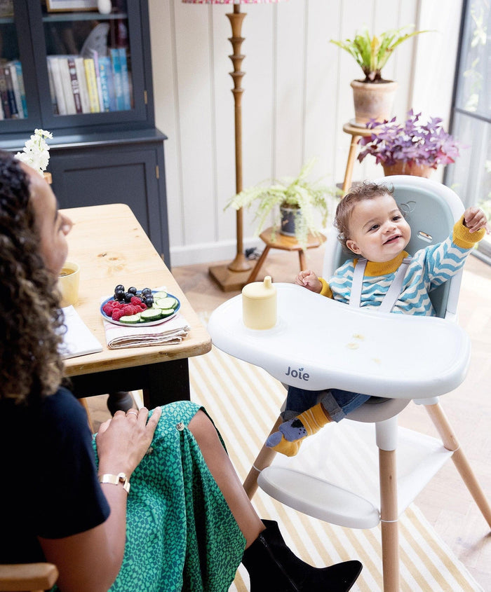 Joie Highchairs Joie Chestnut Highchair - Mist