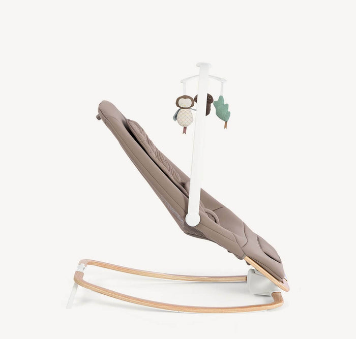 Joie Rocker Joie Dreamer Rocker - Strata Acorn Wood