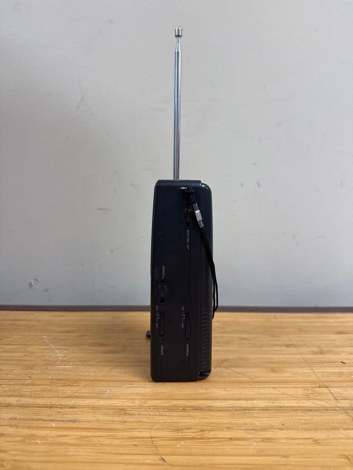 Sony Watchman