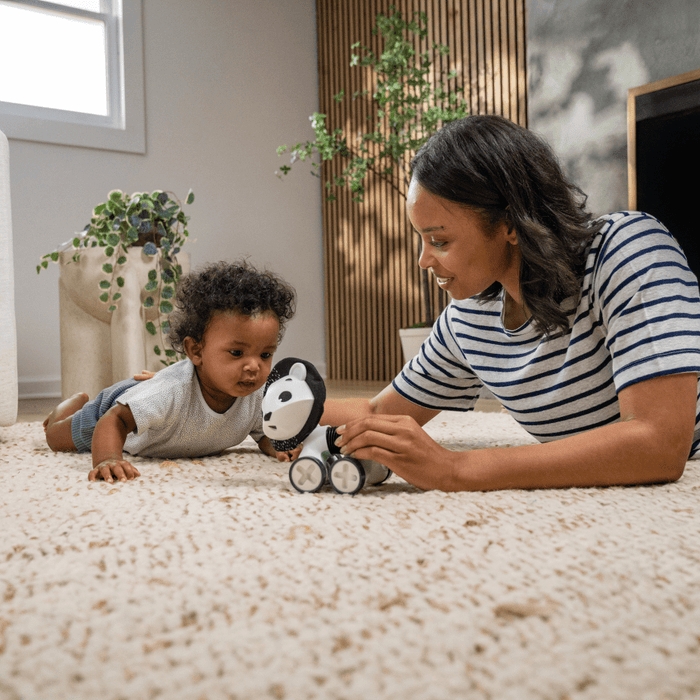 Tiny Love Playtime & Development Tiny Love Décor Rolling Toy - Black & White