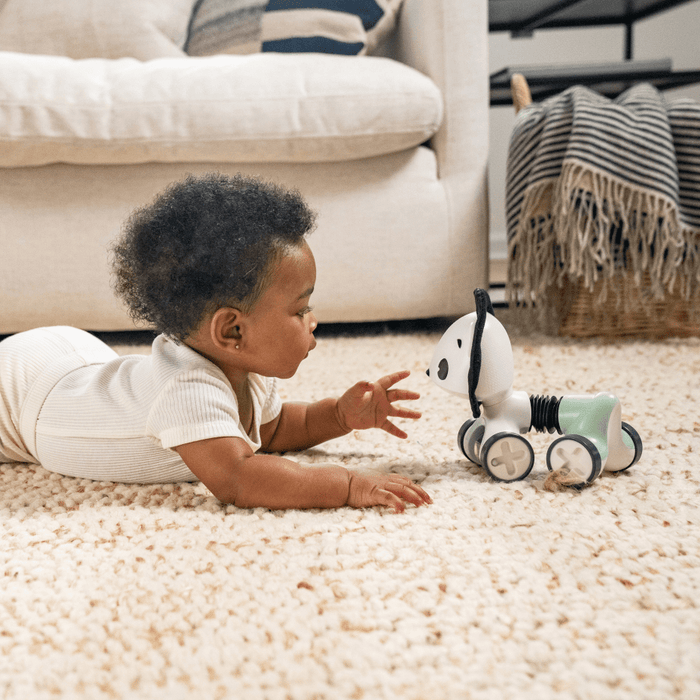 Tiny Love Playtime & Development Tiny Love Décor Rolling Toy - Black & White