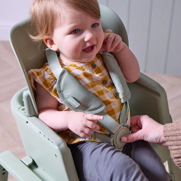 Tutti Bambini Highchairs Tutti Bambini Nova Maison 7 in 1 Highchair - Matcha